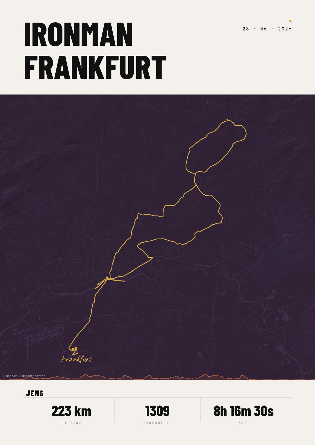 Affiche Triathlon Détails